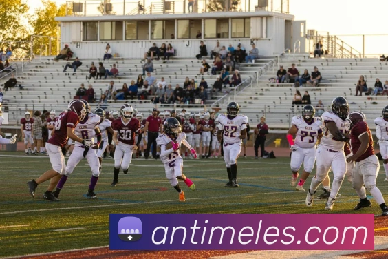 扫码下载 App